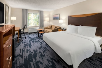 Room, 1 King Bed with Sofa bed