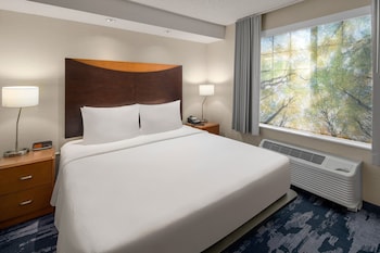 Studio, 1 King Bed with Sofa bed