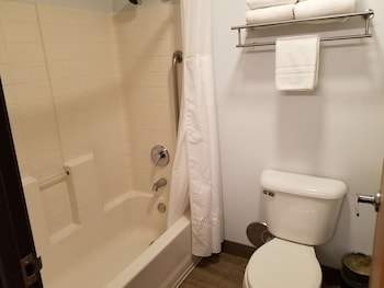 Standard Room, 1 King Bed, Non Smoking, Refrigerator & Microwave (with Sofabed)