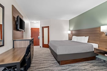 Room, 1 King Bed, Non Smoking