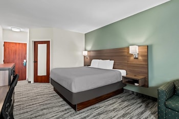 Room, 1 King Bed, Non Smoking