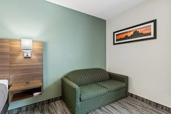 Room, 1 King Bed, Non Smoking