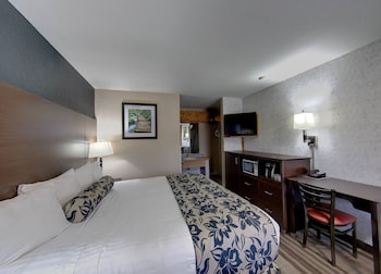Room, 1 King Bed, Accessible