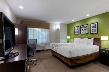 Standard Room, 1 King Bed, Non Smoking