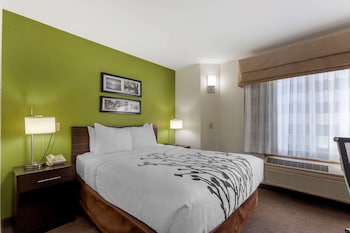 Room, 1 Queen Bed, Accessible, Non Smoking