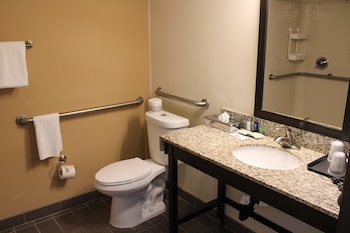 Room, 1 King Bed, Accessible, Non Smoking (Efficiency)