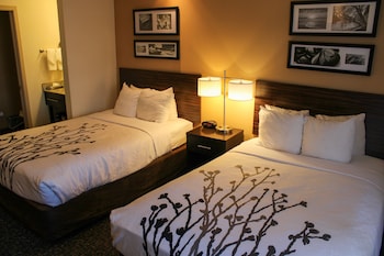Room, 2 Double Beds, Non Smoking (No Pets)