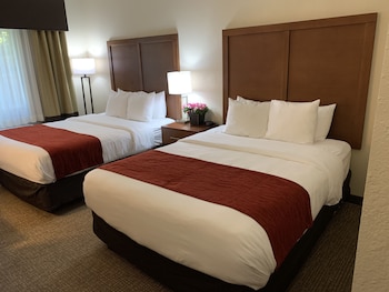 Room, 1 King Bed, Accessible, Non Smoking