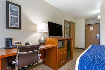 Standard Room, 1 King Bed, Non Smoking