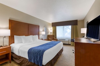 Room, 1 King Bed, Accessible, Non Smoking