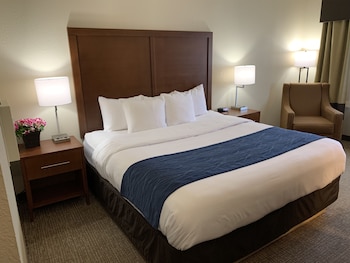 Room, 1 King Bed, Accessible, Non Smoking