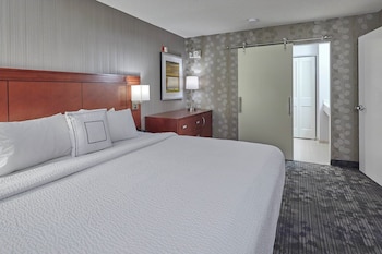Suite, 1 King Bed with Sofa bed (Mobility/Hearing Access, Roll-in Shwr)