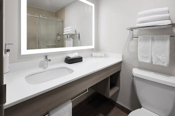 Suite, 1 King Bed with Sofa bed, Accessible (Communications Accessible)