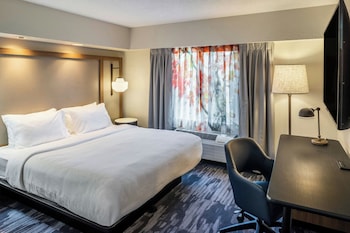 Suite, 1 King Bed