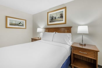 Standard Room, 1 Queen Bed, Accessible, Refrigerator & Microwave