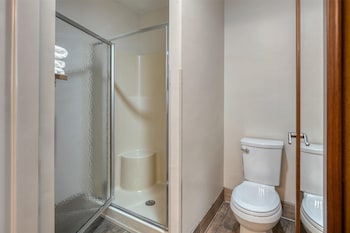 Standard Room, 1 King Bed, Non Smoking, Refrigerator & Microwave