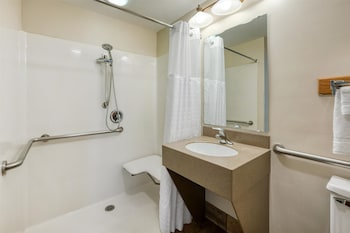 Standard Room, 1 Queen Bed, Accessible, Refrigerator & Microwave