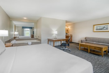 Standard Room, 1 King Bed, Non Smoking, Jetted Tub (with Sofabed)