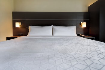 Standard Room, 1 King Bed, Park View (Dorney Park View)