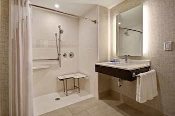 Standard Room, 1 King Bed, Accessible (Roll-In Shower)