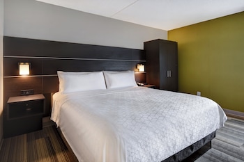 Standard Room, 1 King Bed, Park View (Dorney Park View)