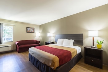 Room, 1 King Bed with Sofa bed, Accessible, Non Smoking