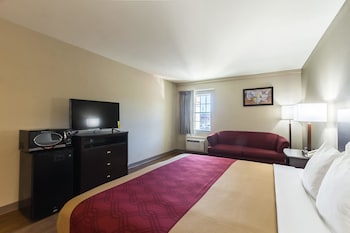 Room, 1 King Bed with Sofa bed, Accessible, Non Smoking