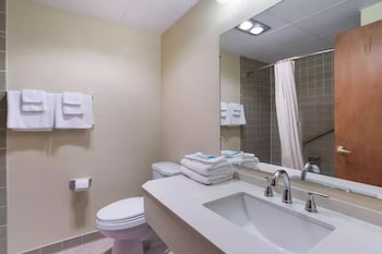 Deluxe Single Room, Non Smoking