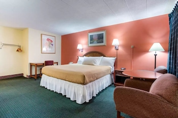 Deluxe Single Room, Non Smoking
