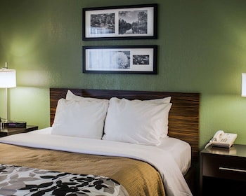 Standard Room, 1 Queen Bed, Accessible, Non Smoking