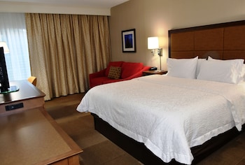 Suite, 1 King Bed