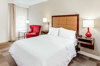 Room, 1 Queen Bed, Accessible, Bathtub