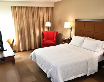 Room, 1 Queen Bed, Accessible, Bathtub