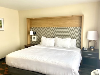 Standard Room, 1 King Bed, Mobility Accessible (Communications)