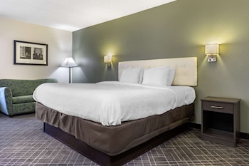 Standard Room, 1 King Bed, Non Smoking