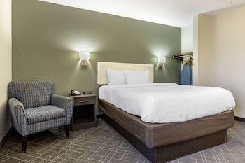 Standard Room, 1 Queen Bed, Non Smoking