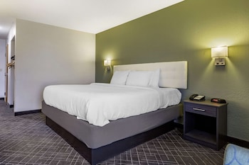 Room, 1 King Bed, Accessible, Non Smoking