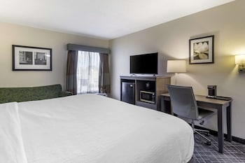 Room, 1 King Bed, Accessible, Non Smoking