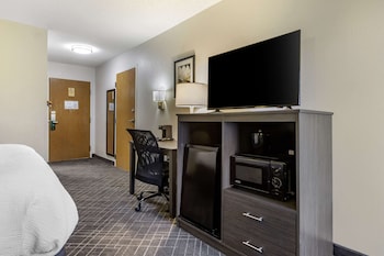 Standard Room, 1 King Bed, Non Smoking