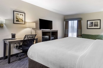 Standard Room, 1 King Bed, Non Smoking