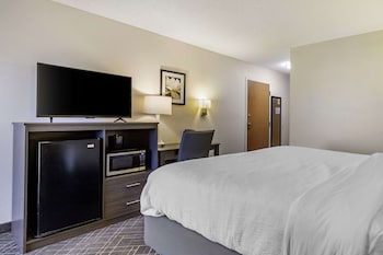 Room, 1 King Bed, Accessible, Non Smoking