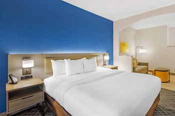 Suite, 1 King Bed with Sofa bed, Accessible, Non Smoking