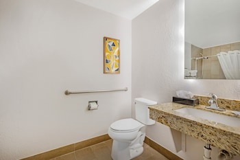 Suite, 1 King Bed with Sofa bed, Accessible, Non Smoking