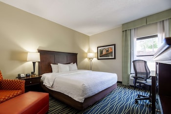 Room, 1 King Bed, Accessible, Non Smoking