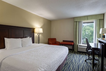 Room, 1 King Bed, Accessible, Bathtub