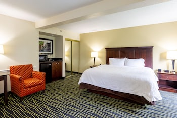 Studio, 1 King Bed, Refrigerator & Microwave (Shower)