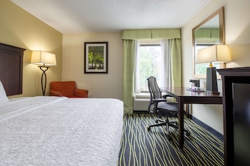 Room, 1 King Bed, Accessible, Bathtub