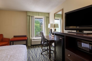 Room, 1 King Bed, Non Smoking