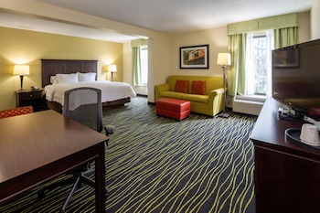 Room, 1 King Bed with Sofa bed (Large Room, Shower Only)