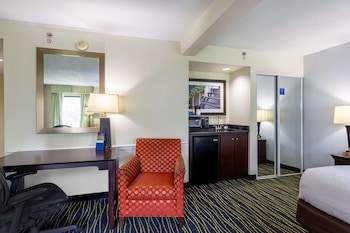 Room, 1 King Bed with Sofa bed (Large Room, Shower Only)